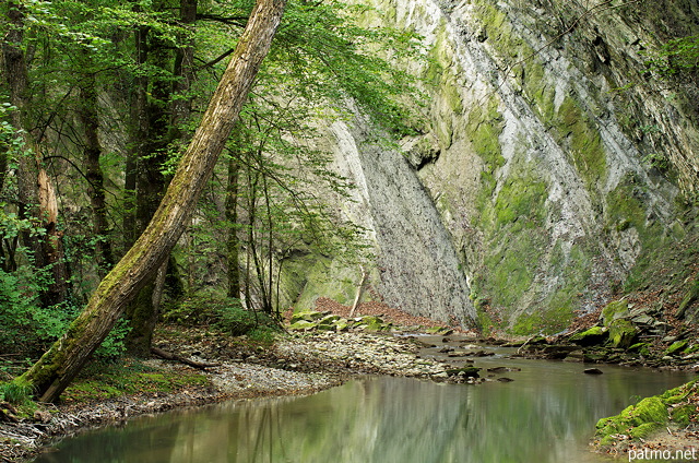 Photographie d'arbres et de rochers sur les bords de la rivire du Fornant