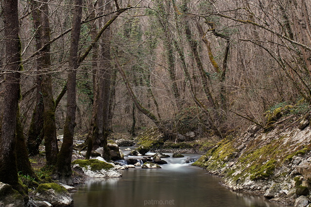Image of Fornant river at the end of winter