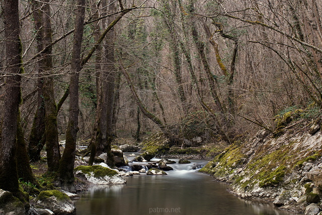 Image du torrent du Fornant en fin d'hiver