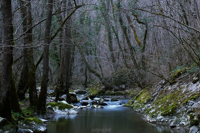 Photo de la rivière du Fornant le dernier jour de l'hiver