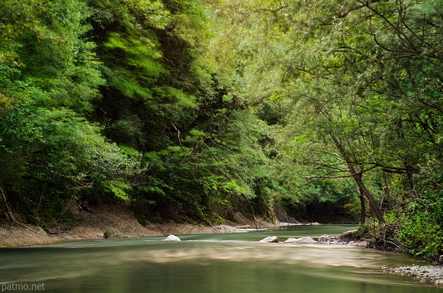 Photo of springtime foliage blown by the wind along Usses river