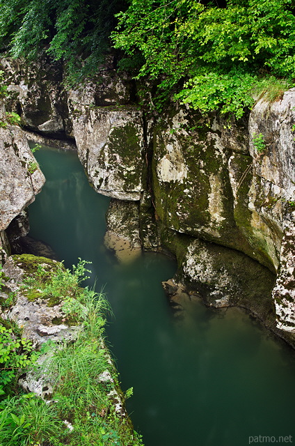 Photo des Pertes de la Valserine au printemps avec verdure, reflets et rochers