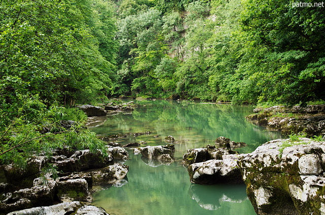 Photo d'un lapiaz submergé et de la forêt de printemps dans les Pertes de la Valserine