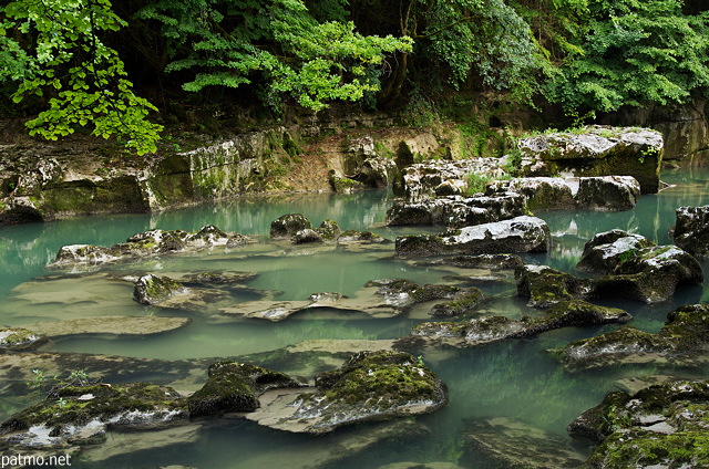 Image de rochers calcaires à demi submergés dans la rivière de la Valserine