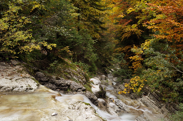 Ambiance d'automne dans la fort sous la cascade de la Diomaz en Haute Savoie