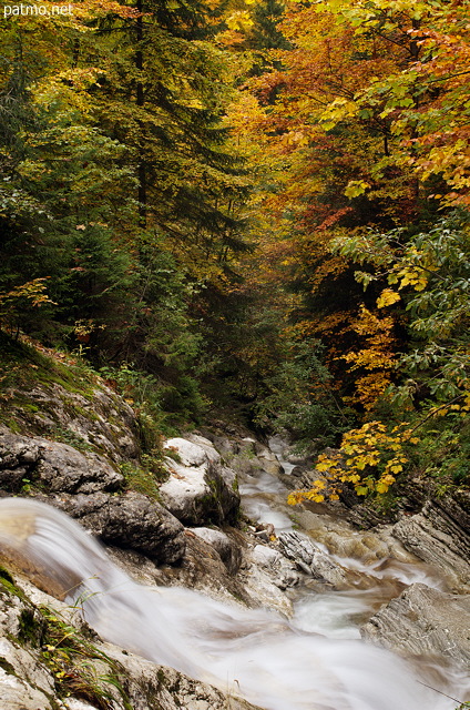 Photographie de l'automne en bas de la cascade de la Diomaz