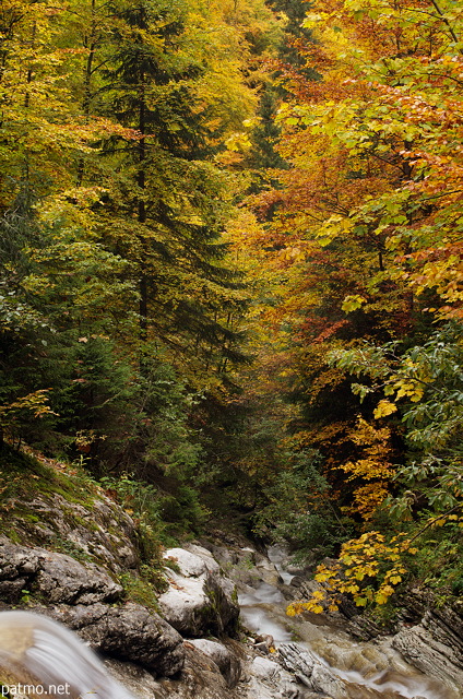 Photographie des couleurs d'automne autour de la Diomaz en Haute Savoie