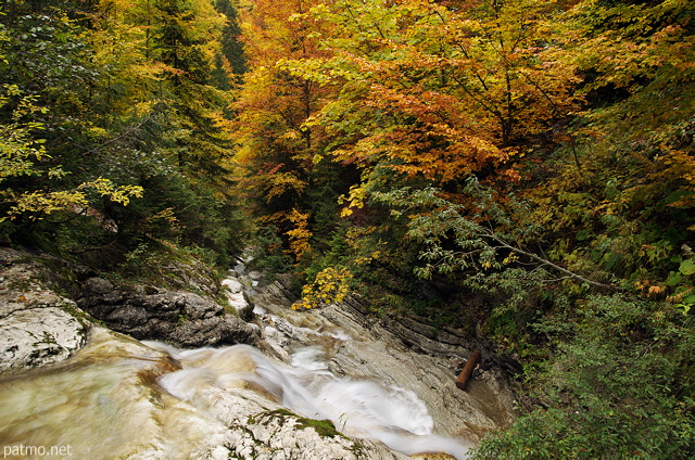 Photo des derniers mtres de la cascade de la Diomaz avant qu'elle ne pntre dans la fort