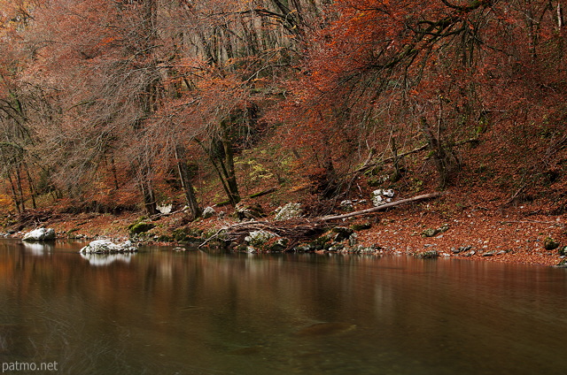 Photo des couleurs rouges de l'automne au bord de la rivire du Fier