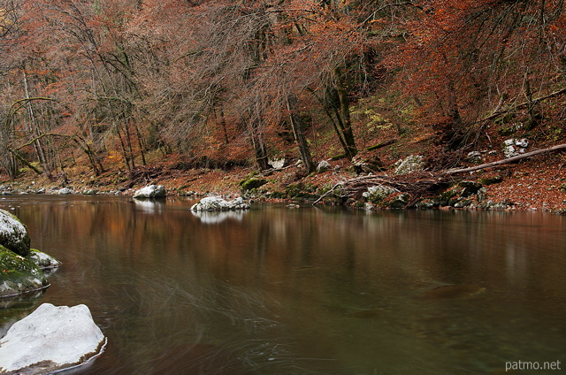 Picture of the autumn forest alonf the Fier river