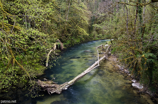 Photo de la rivière de la Semine vue depuis le Pont de Coz à Châtillon en Michaille