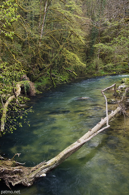 Image de la Semine vue depuis le Pont de Coz