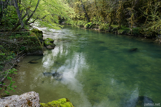 Photo d'un printemps verdoyant autour de la rivière de la Semine à Châtillon en Michaille