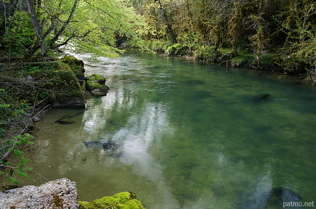 Photo d'un printemps verdoyant autour de la rivire de la Semine  Chtillon en Michaille