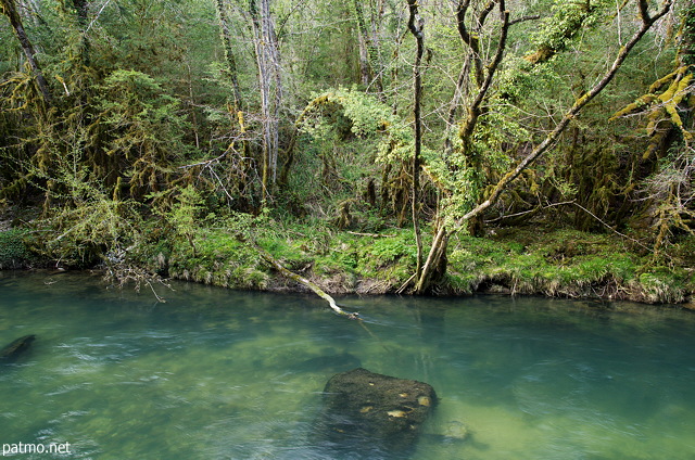 Image of green forest and Semine river in Chatillon en Michaille