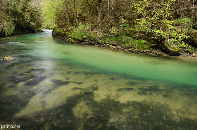 Picture of the green water of valserine river at springtime