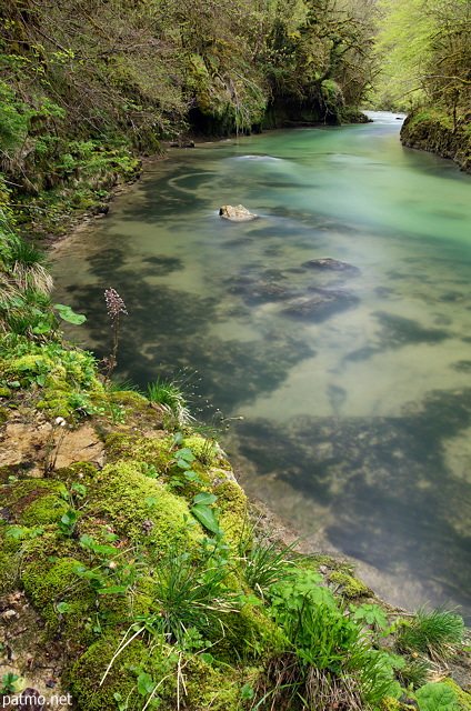 Photo de la Valserine au printemps  Chatillon en Michaille