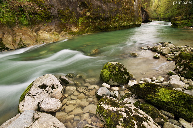 Photograph of the colorful springtime along Cheran river in Massif des Bauges Natural Park