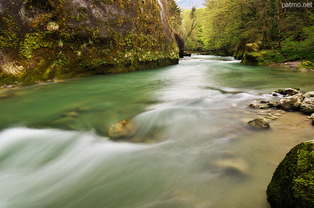 Image of vivid springtime colors around Cheran river in Massif des Bauges Natural Park