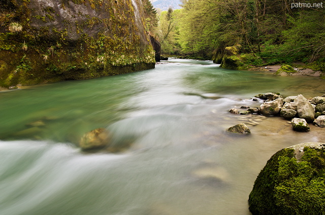 Photo du printemps dans les Gorges du Chran en Haute Savoie