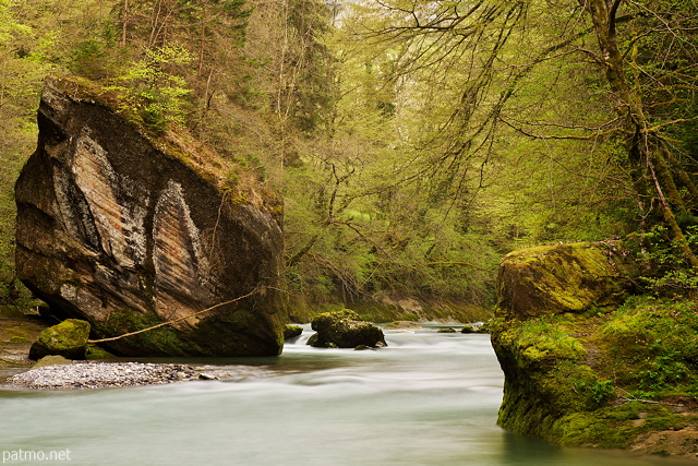 Photo de gros rochers et de fort de printemps le long de la rivire du Chran dans le Massif des Bauges