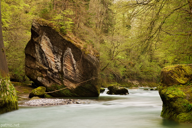 Photo de rochers et de ripisylve dans les Gorges du Chran  Hry sur Alby