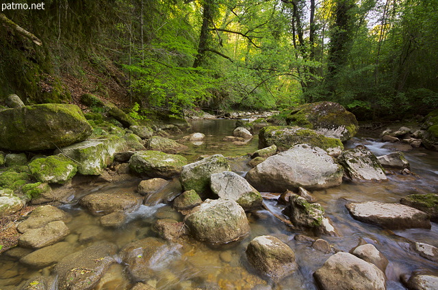 Image de la rivière du Séran dans les sous bois du Valromey