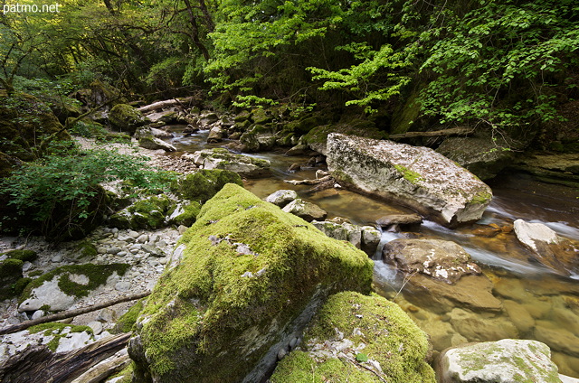 Image de l'ambiance sauvage autour de la rivire du Sran dans le Valromey