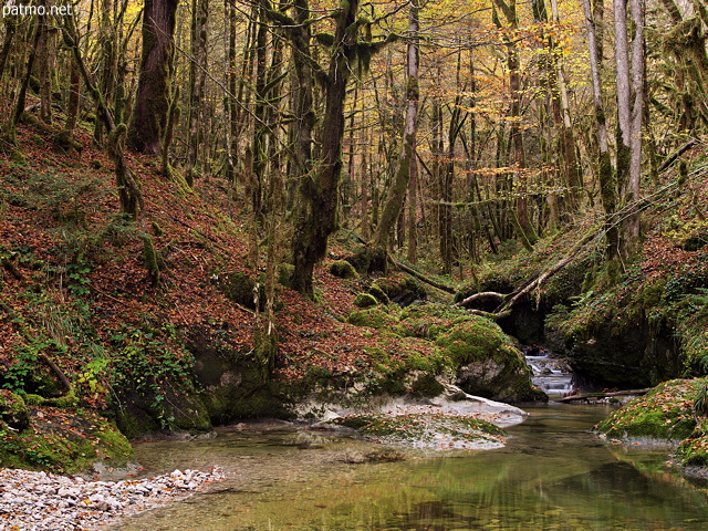 Photo de l'automne autour du torrent de l'Abme dans les montagnes du Haut Jura