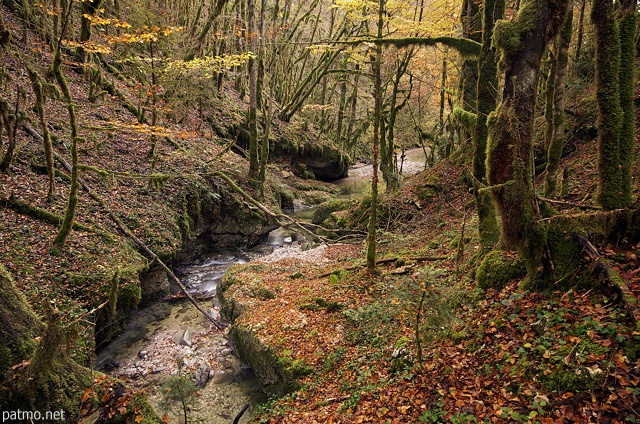 Photo de l'automne dans la fort autour de la rivire de l'Abime prs de Saint Claude dans le Jura