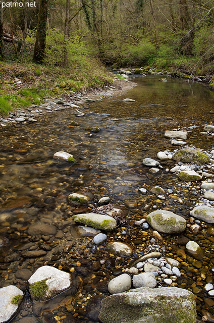 Photo de la rivire des Petites Usses au printemps