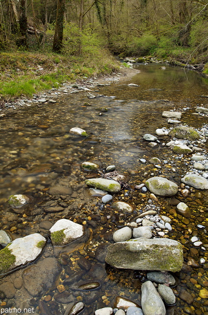 Photographie du faible niveau d'eau dans la rivire des Petites Usses un jour de printemps