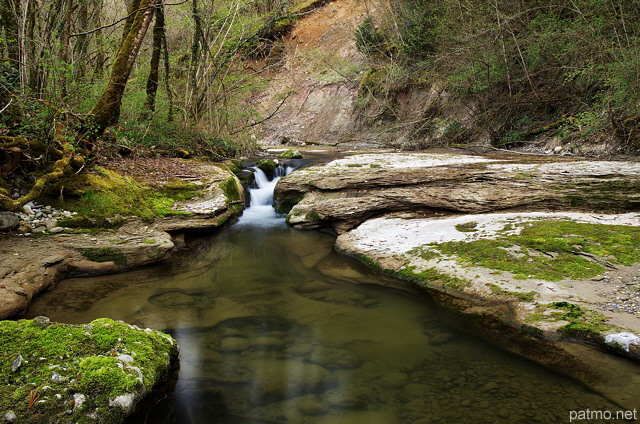 Photo de la rivire des Petites Usses au printemps