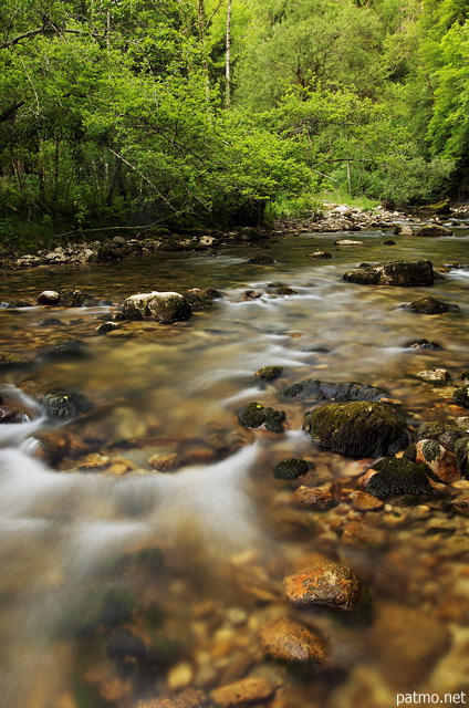 Photo of colorful stones and green foliage in Tacon river