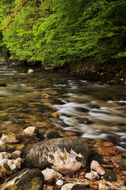 Image of little swirl in Tacon river at springtime