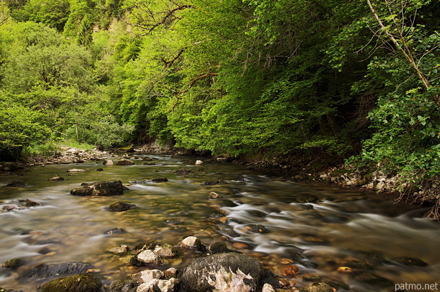 Photo du printemps autour de la rivire du Tacon  Saint Claude dans le Jura