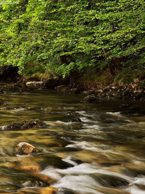 Image of the water of Tacon river under springtime foliage