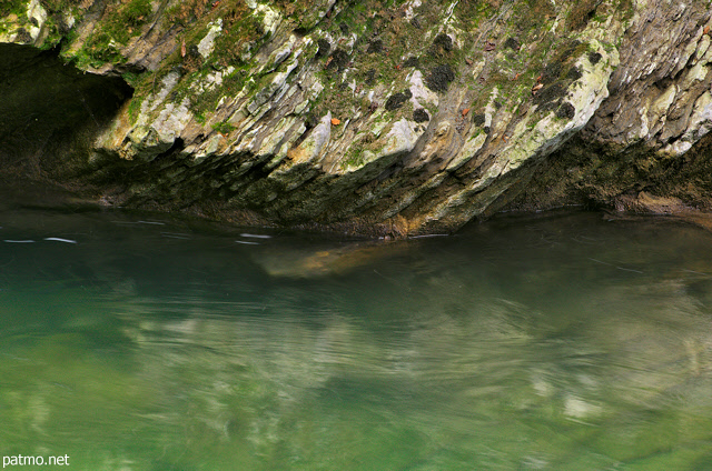 Dtail des berges de la rivire du Chran en Haute Savoie