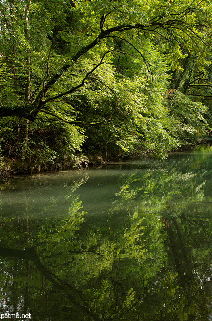Photo d'arbres et de leurs reflets sur le Thiou à Annecy