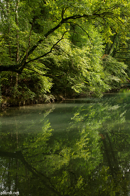 Photo of trees and reflections on river Thiou in Annecy