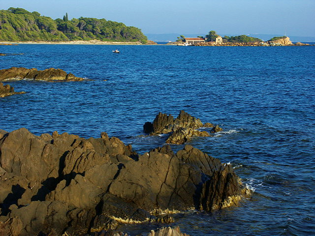 Paysage en bord de mer. Bormes les Mimosas