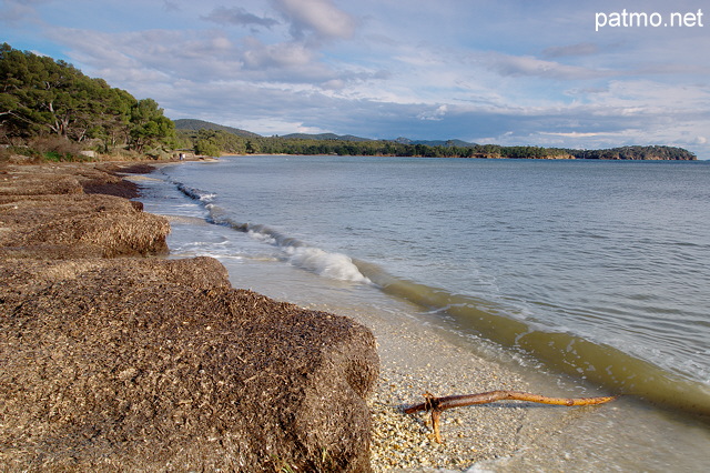 Picture of Pellegrin beach by a winter day in La Londe les Maures
