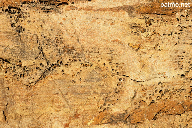 Photograph of a rock detail on the Mediterranean coast in Provence