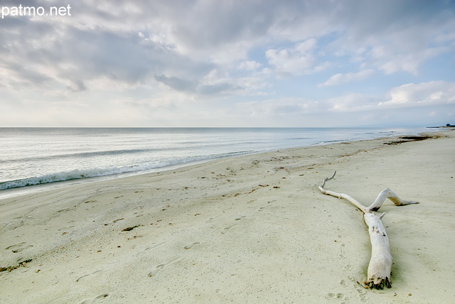 Photo de la plage de Casabianda en Haute Corse