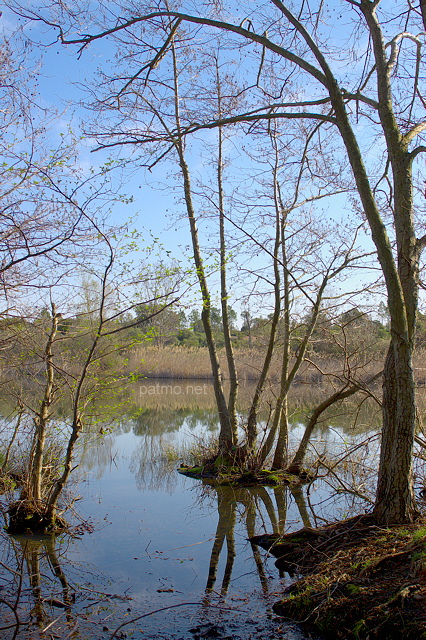 Image des bords du lac des escarcets