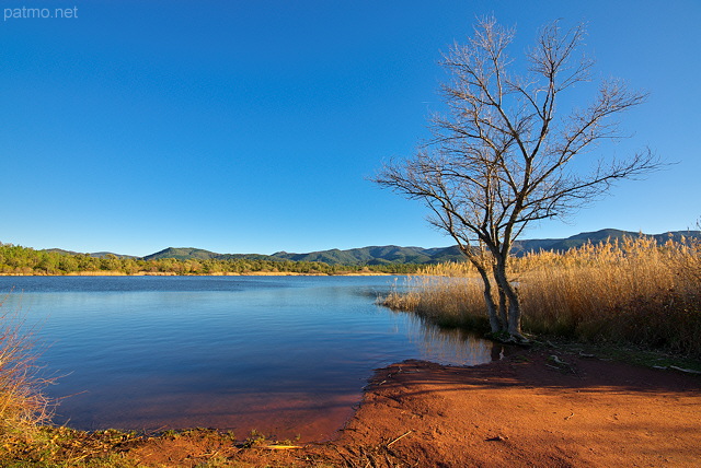 Photographie du paysage et de la vgtation d'hiver autour du lac des Escarcets dans le Var