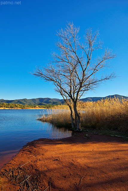 Image du lac des Escarcets en hiver dans le Massif des Maures