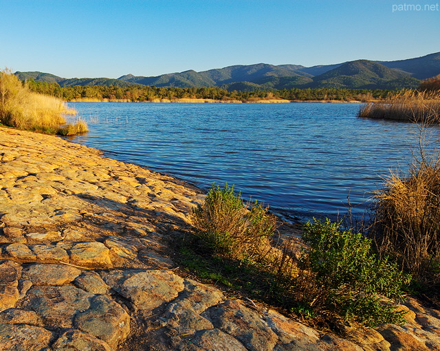 Photo de la lumire d'hiver au bord du lac des Escarcets dans la Plaine des Maures