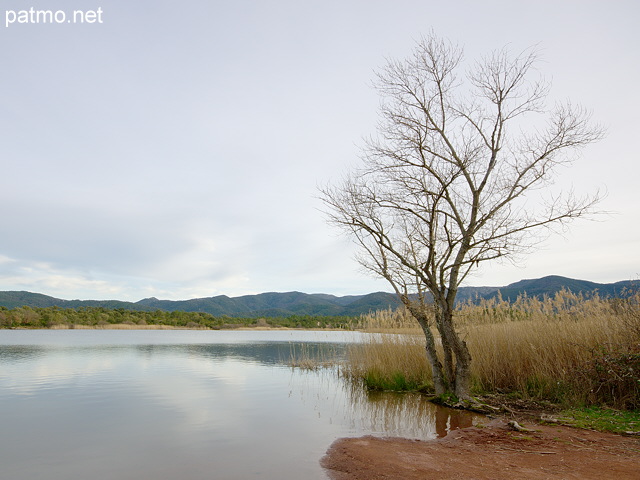 Photo du Lac des Escarcets en hiver