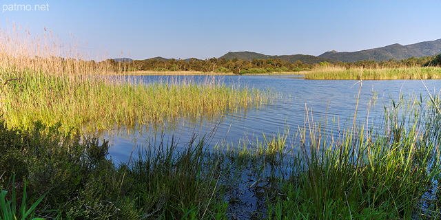 Photo des bords du lac des Escarcets au printemps